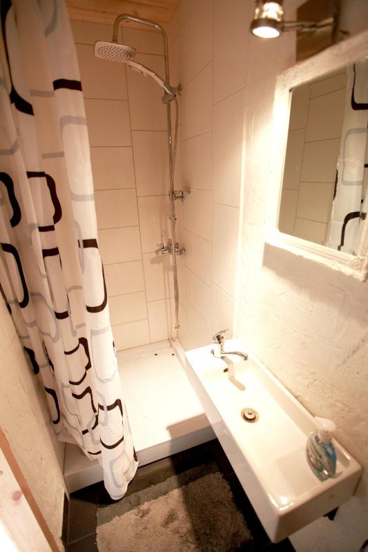 Deluxe Double or Twin Room image 4