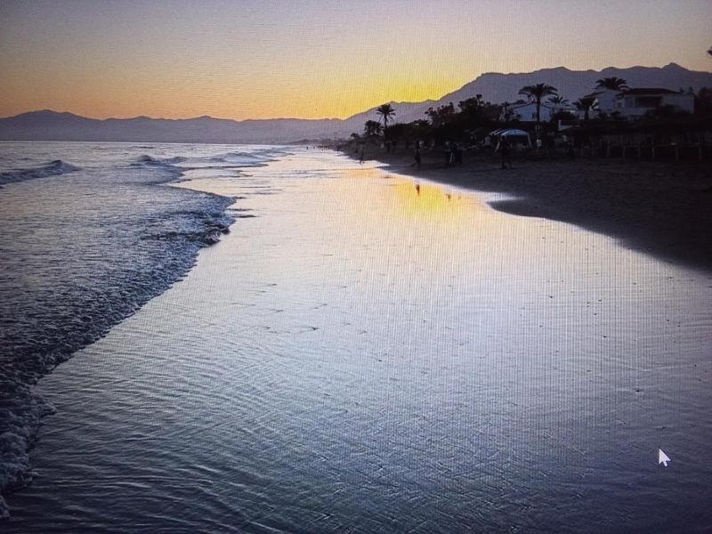 Elviria Beauty by the sea - image 27