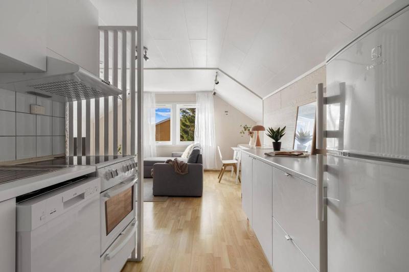 Basecamp Dramsvegen - South Loft Retreat - image 4
