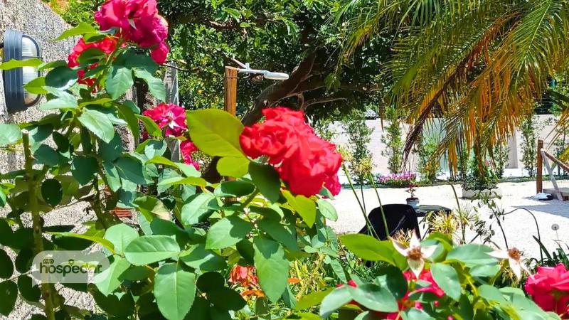 House 400 meters from the beach a retreat between the sea and the mountains. - image 34