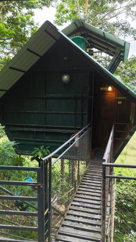 Tree House Wayanad - image 44