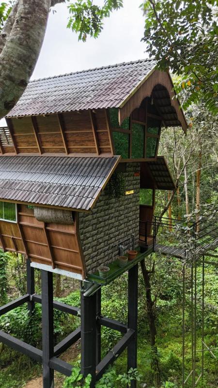 Tree House Wayanad - image 38