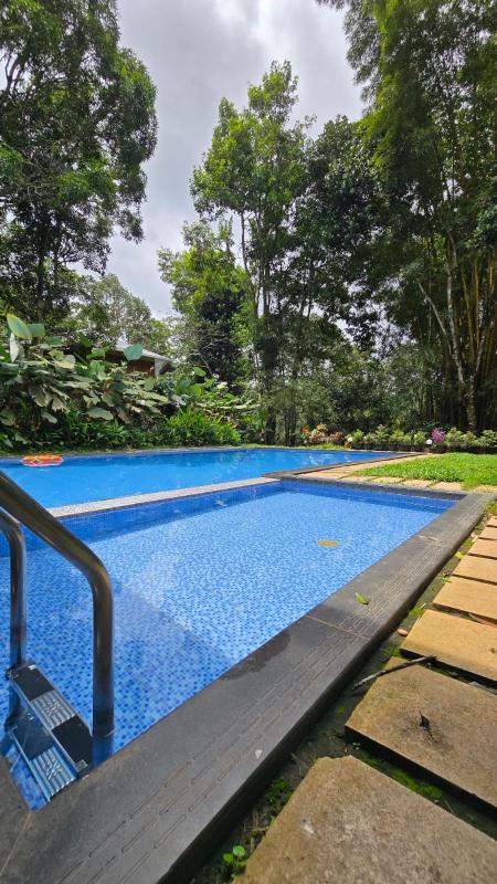 Tree House Wayanad - image 43