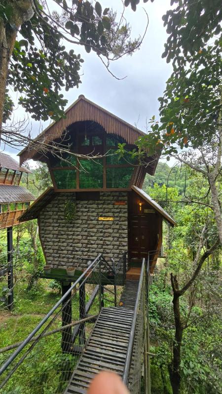 Tree House Wayanad - image 39