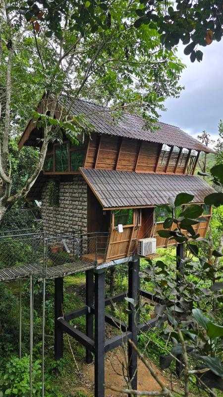Tree House Wayanad - image 36