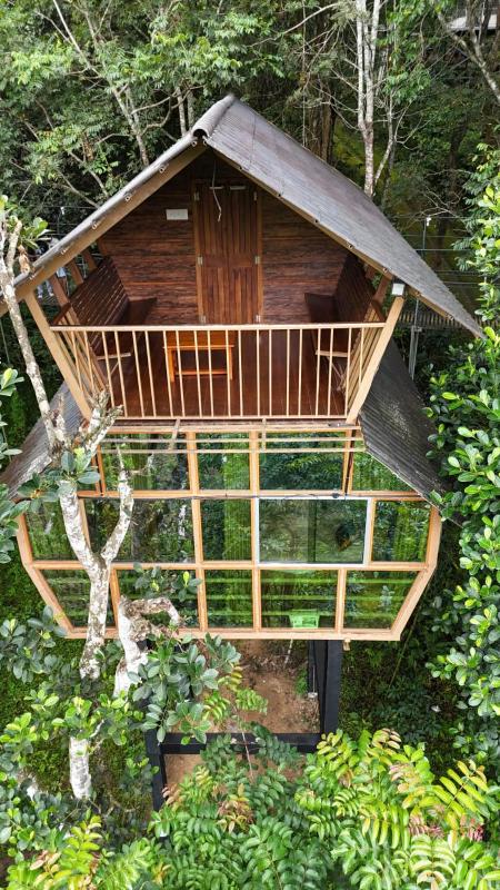 Tree House Wayanad - image 49