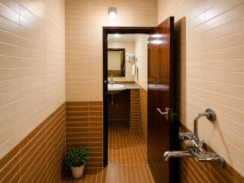 Hotel tathagat bodhgaya near main temple - image 8