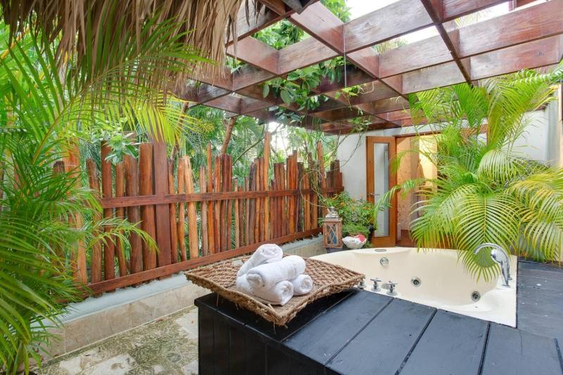 Tortuga C17 Luxury Villa Punta Cana Sleeps 14 - image 38