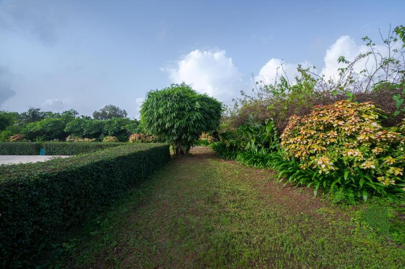 SaffronStays Whispering Palms - image 12