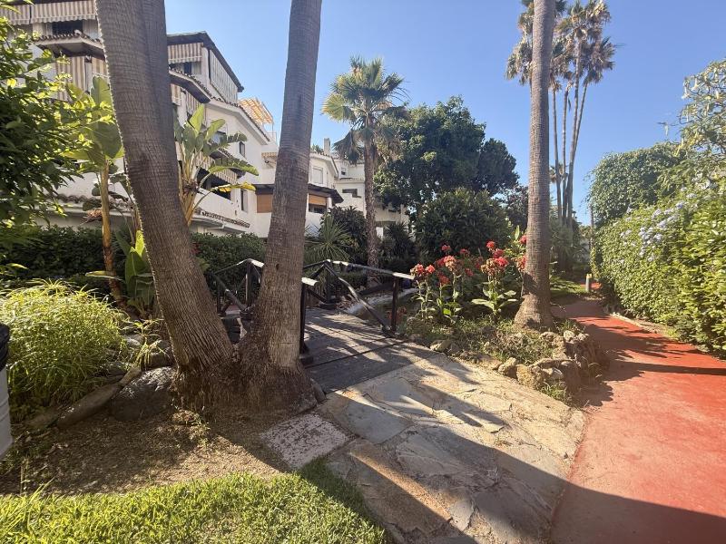 Apartamento de 1 hab en primera línea de playa - image 12