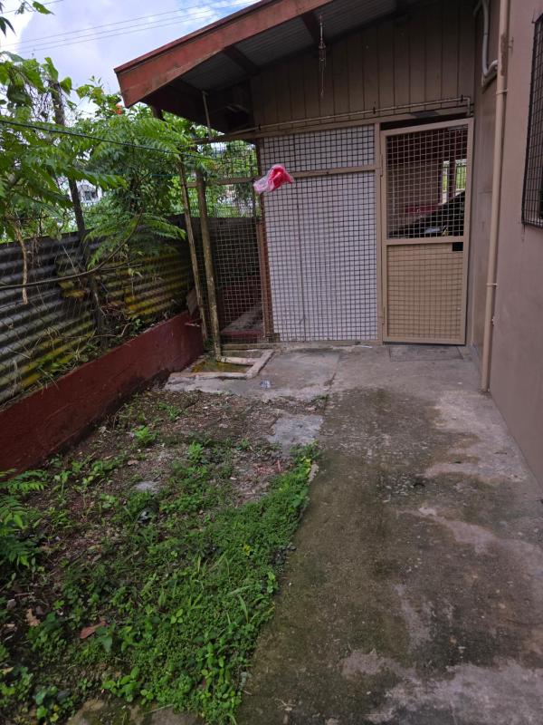 Sunny Home Stay - image 4