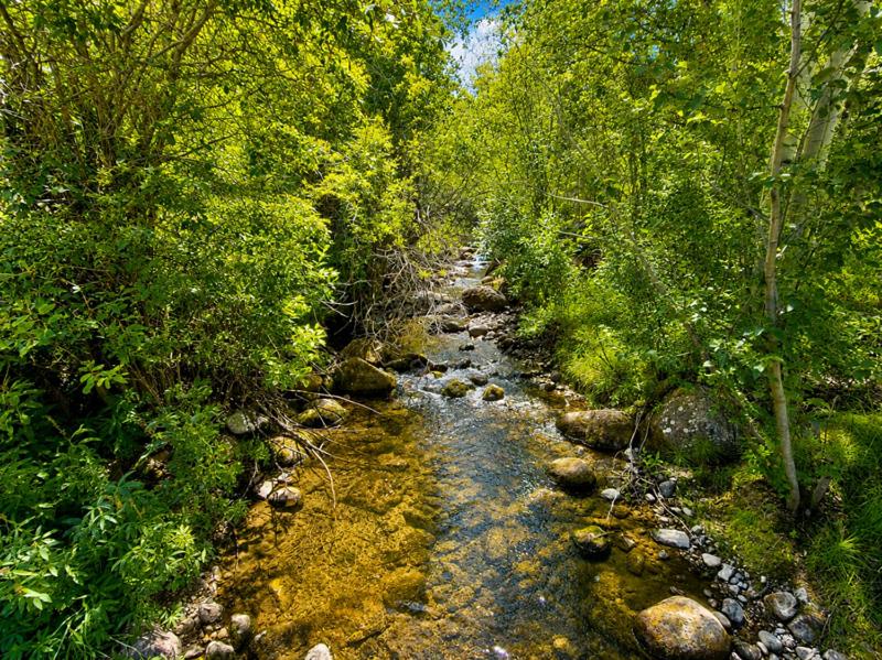 Townsend Place in Beaver Creek VIllage - image 21