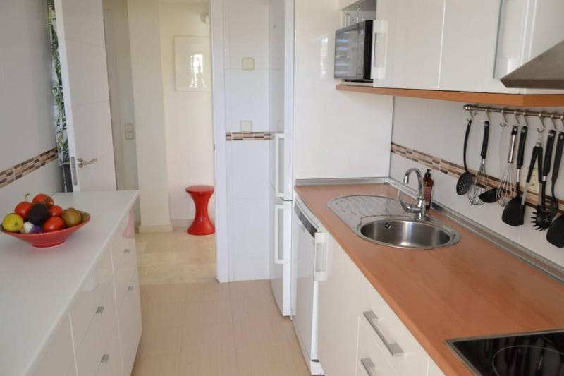 Rsh14A - Penthouse With Terrace And Hot Tub - image 16