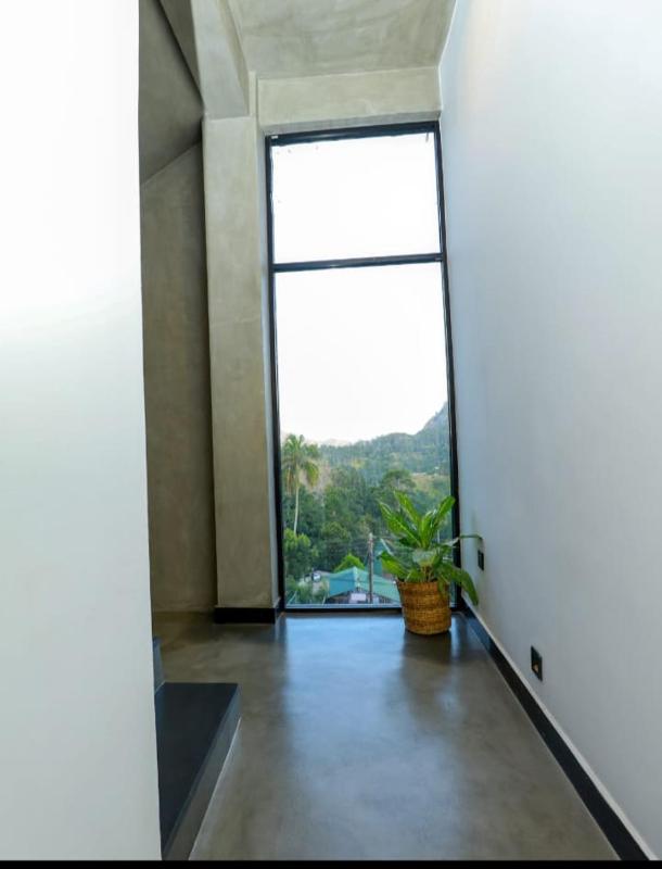 Stone Cliff Ella - image 32