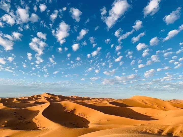 Moha Desert Camp - image 29