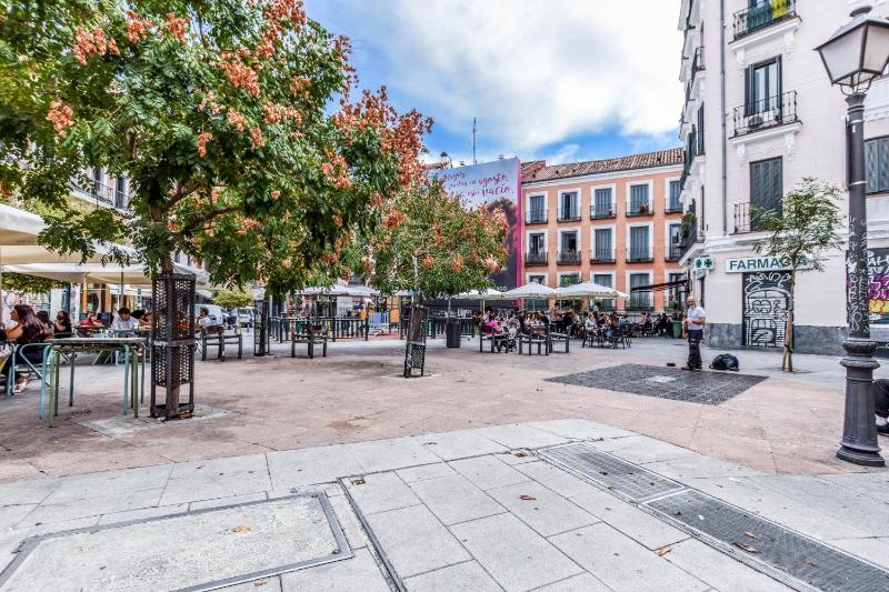 Modern Living Space in Historic Central Madrid - image 13