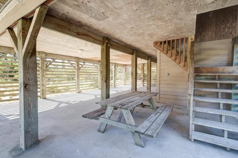 5647 - Sandy Pause - image 31