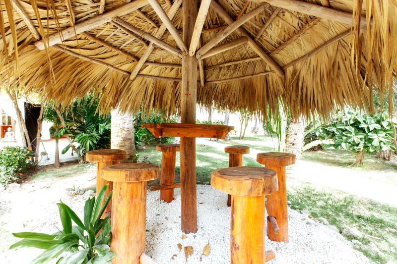 SERENARA VILLAS and SUITES - LOS CORALES beach - image 44