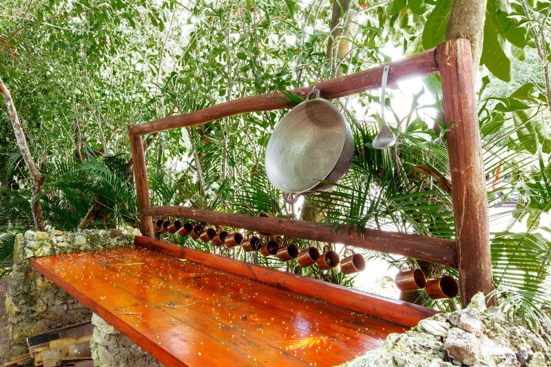 SERENARA VILLAS and SUITES - LOS CORALES beach - image 36