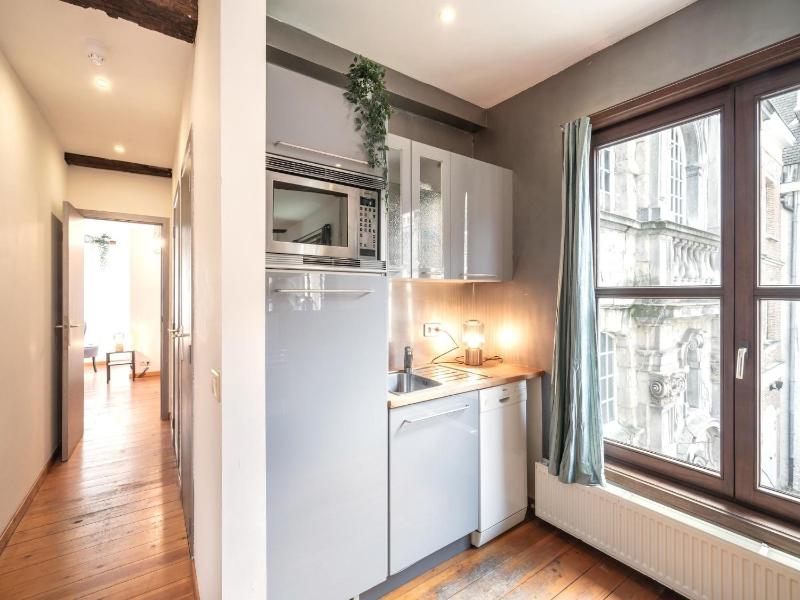 Old town lodge Antwerp One Bedroom Apartment - image 10