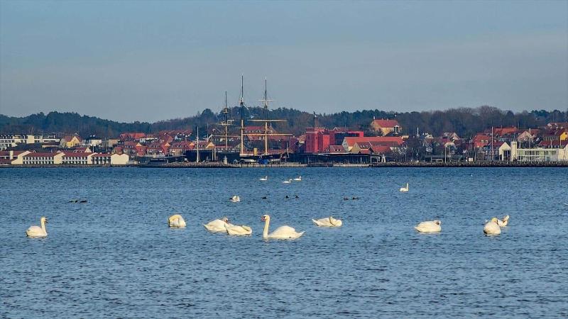 84111-Ebeltoft-Skrubbevej-10 - image 13