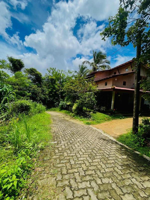 The Quiet Leaf Villa - 20 min to Hiriketiya - image 8