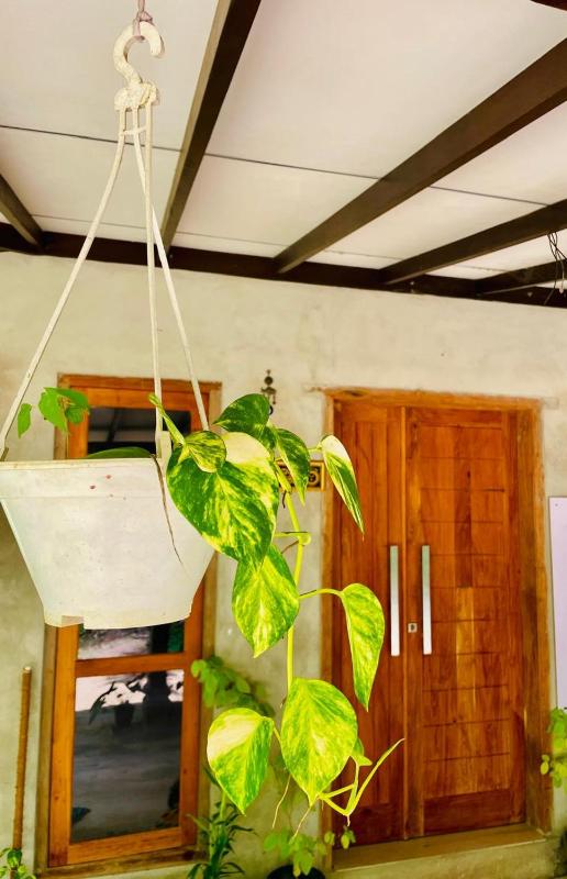 The Quiet Leaf Villa - 20 min to Hiriketiya - image 11