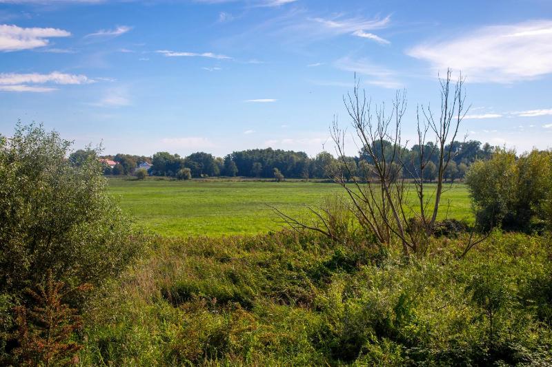 Hs am Weidengrund Whg 9 - image 27