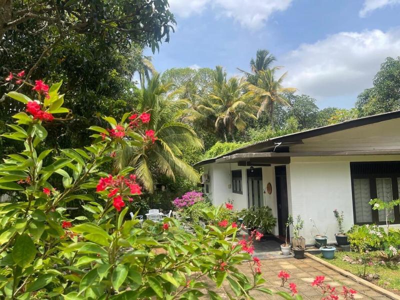 Green Sapphire Vacation Home Anuradhapura - image 5