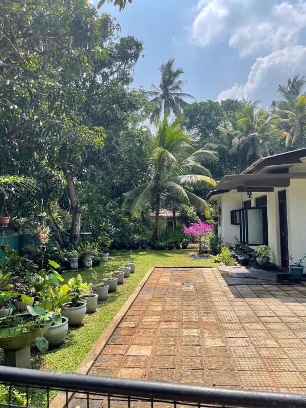 Green Sapphire Vacation Home Anuradhapura - image 14