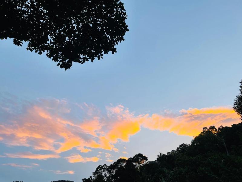 Ella Cloud View Homestay - image 2