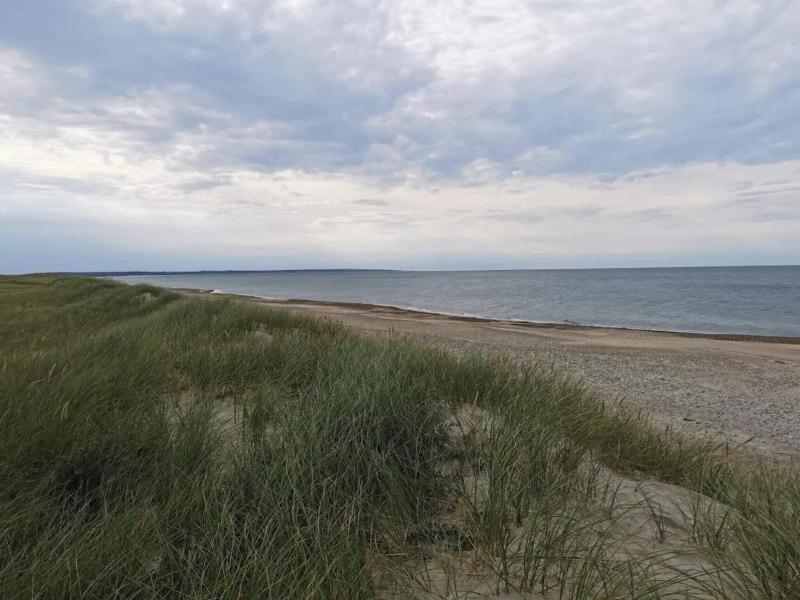 12 person holiday home in Thisted - image 4