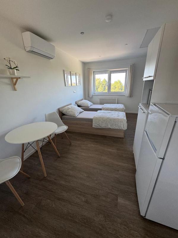 RK Apartment Holzova - image 15