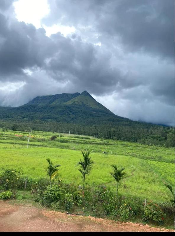 The swarga homestay - image 8