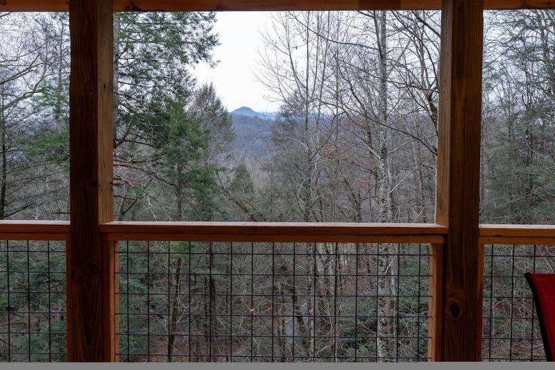 44 Pet Friendly Free Tickets to Dollywood Pool Table Resort Pool Hot Tub - image 30