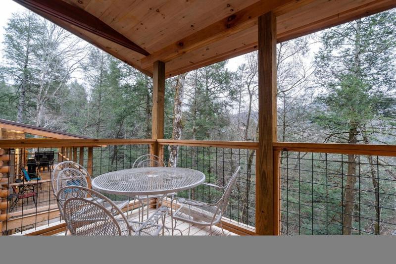 44 Pet Friendly Free Tickets to Dollywood Pool Table Resort Pool Hot Tub - image 23