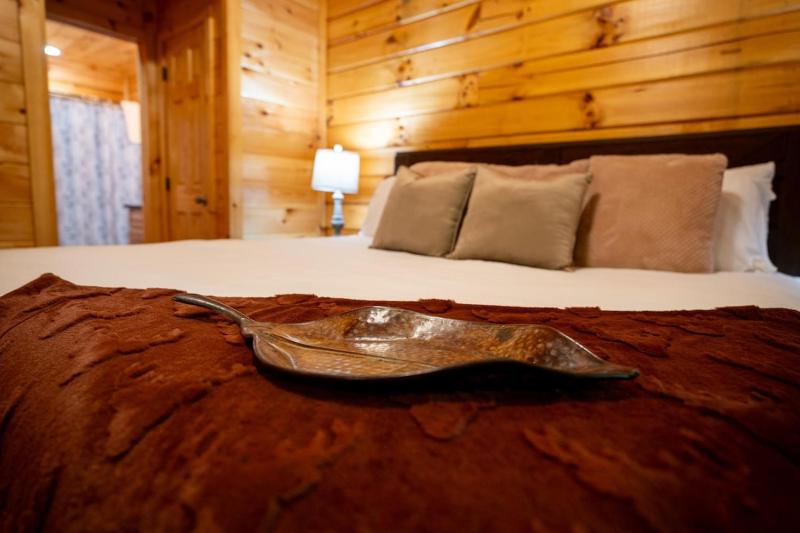 Romantic Getaway for 2 wFree tickets2DollywoodAnakeestaAquariumPrivateHotTub - image 6