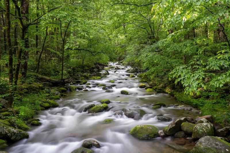 Gorgeous 22 in Gatlinburg wFree Tickts to DollywoodAnakeestaAquariumZipline - image 28