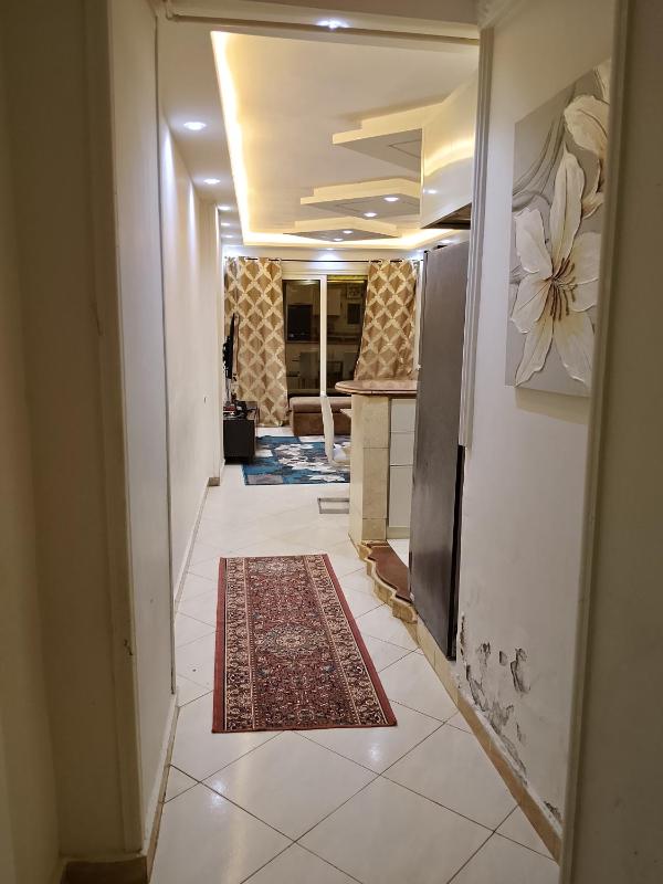 اسكندريه - image 10