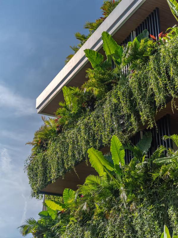 Modern Cozy Apartment in Berawa Canggu - image 22