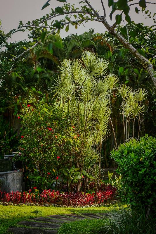Wayang Retreat - image 49