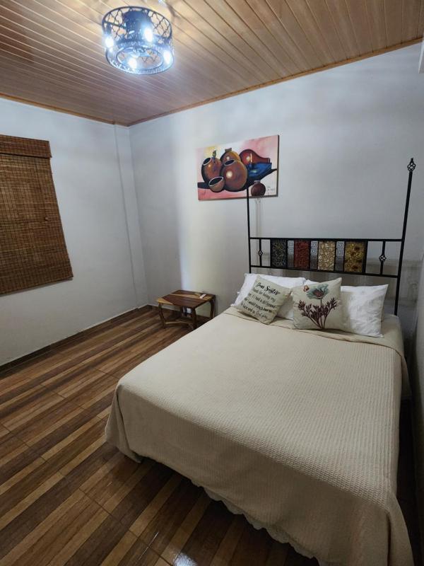 Hostel The Mango Tree - image 9