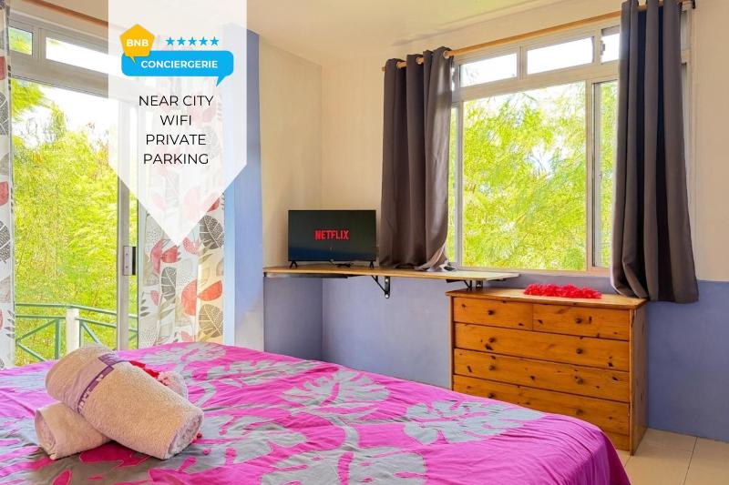 Large studio near city center - image 1