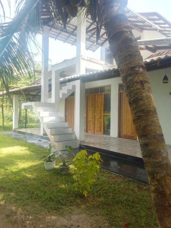 Jangal villa - image 8