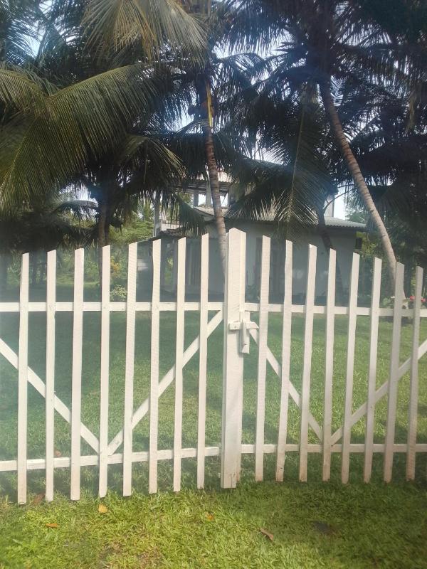 Jangal villa - image 5