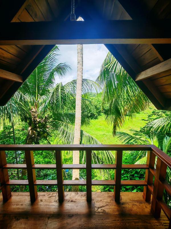 Paddy field Whispering wind Cabin - image 16