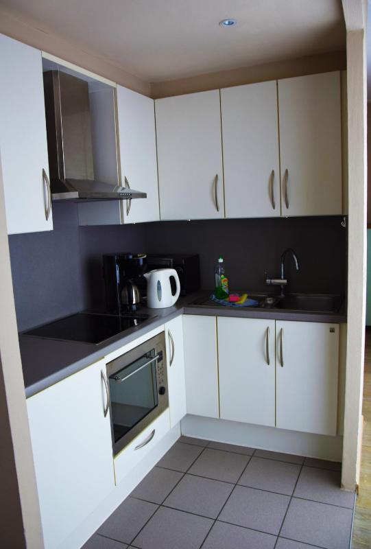 Penthouse Apartment image 4