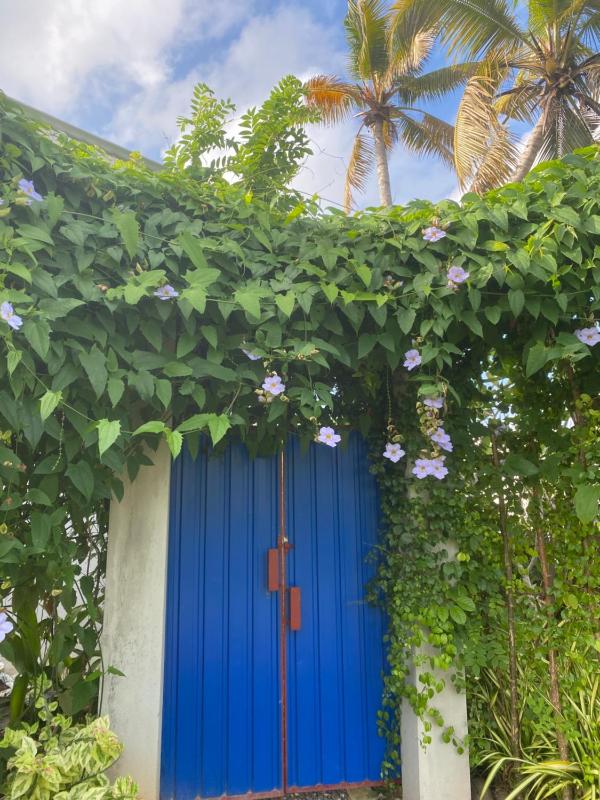 The black monkey villa - Private pool - image 44