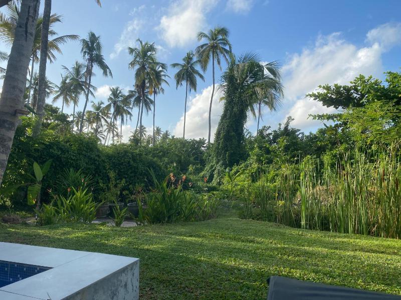 The black monkey villa - Private pool - image 46