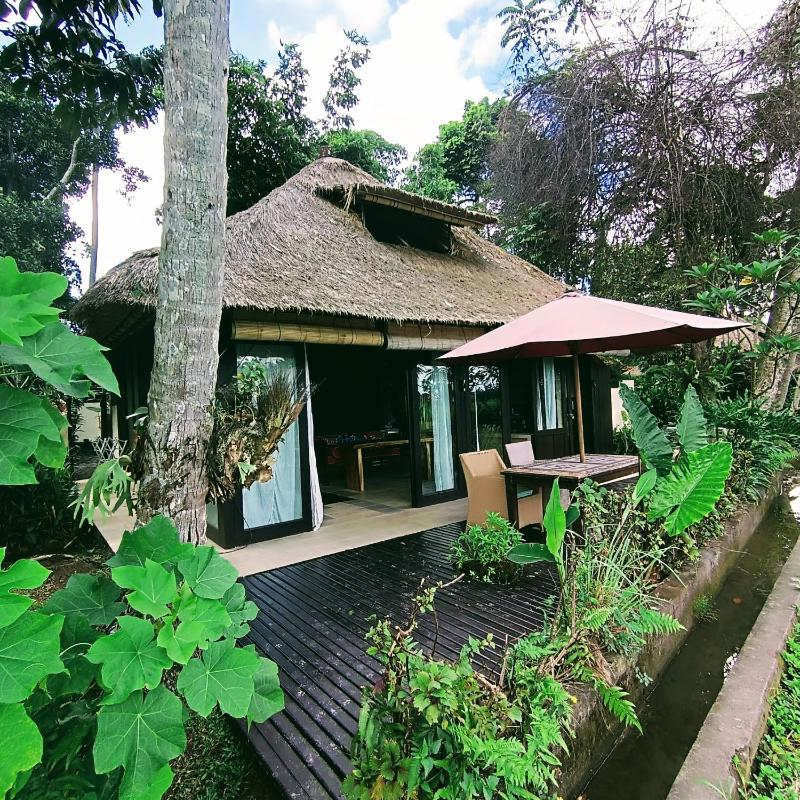 English Breakfast T House - image 11